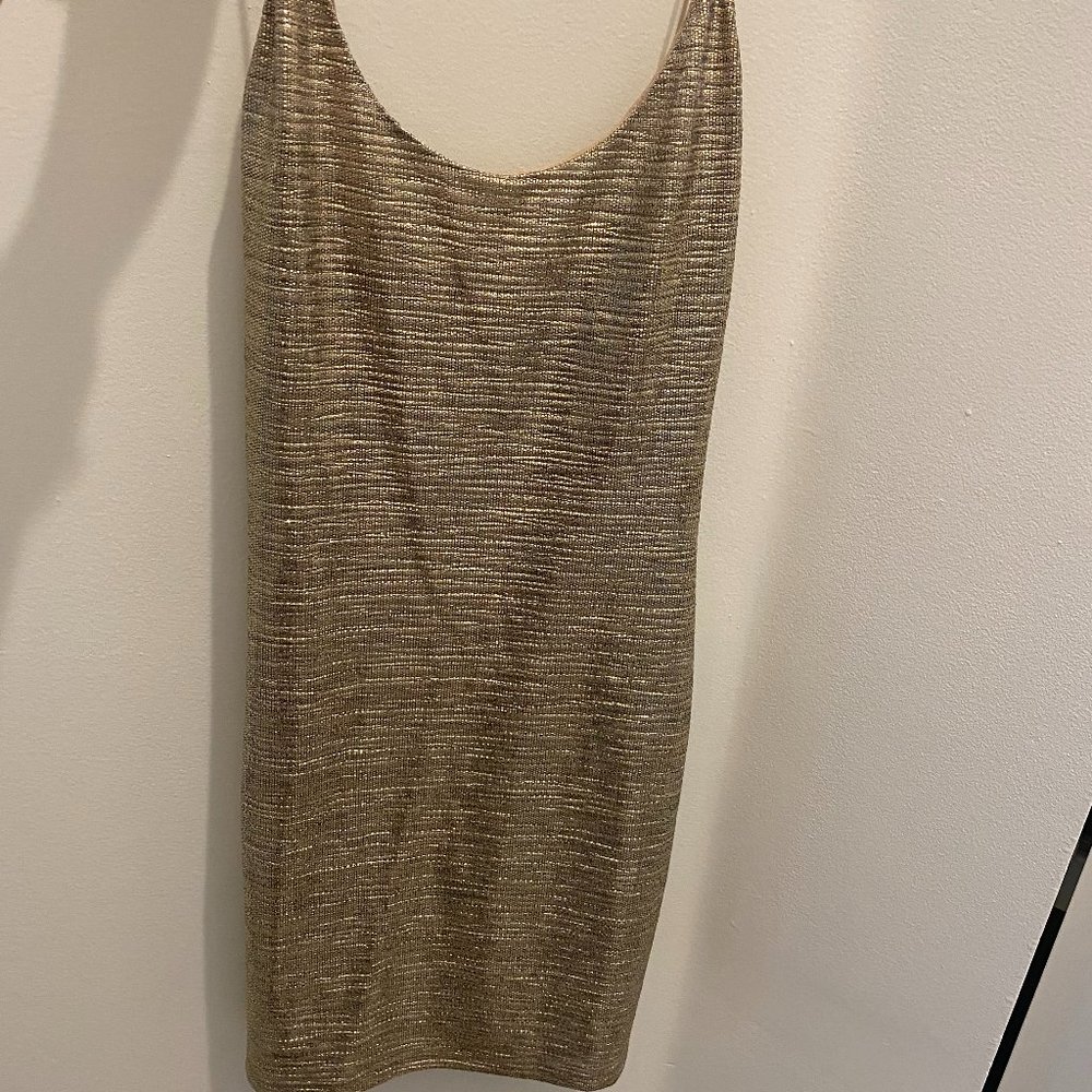 Alice and Olivia Delora Dress